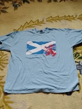 Fruit of the Loom Light Blue Scotland Graphic Tee